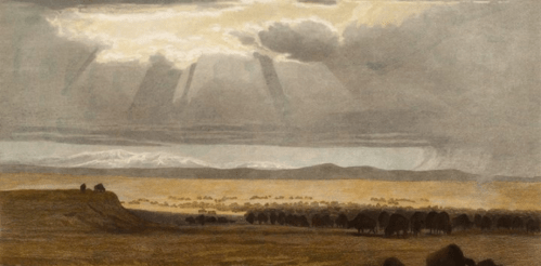 Screen Shot 2019-04-17 at 1.11.07 PM.png