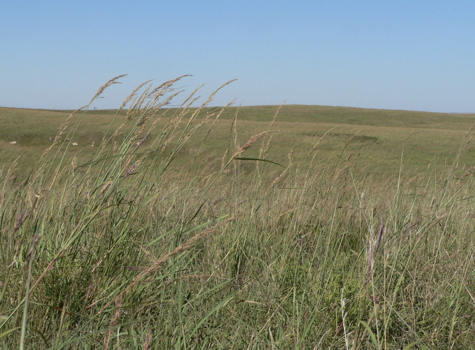 Screen Shot 2019-04-17 at 1.46.17 PM.png