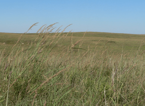 Screen Shot 2019-04-17 at 1.46.17 PM.png