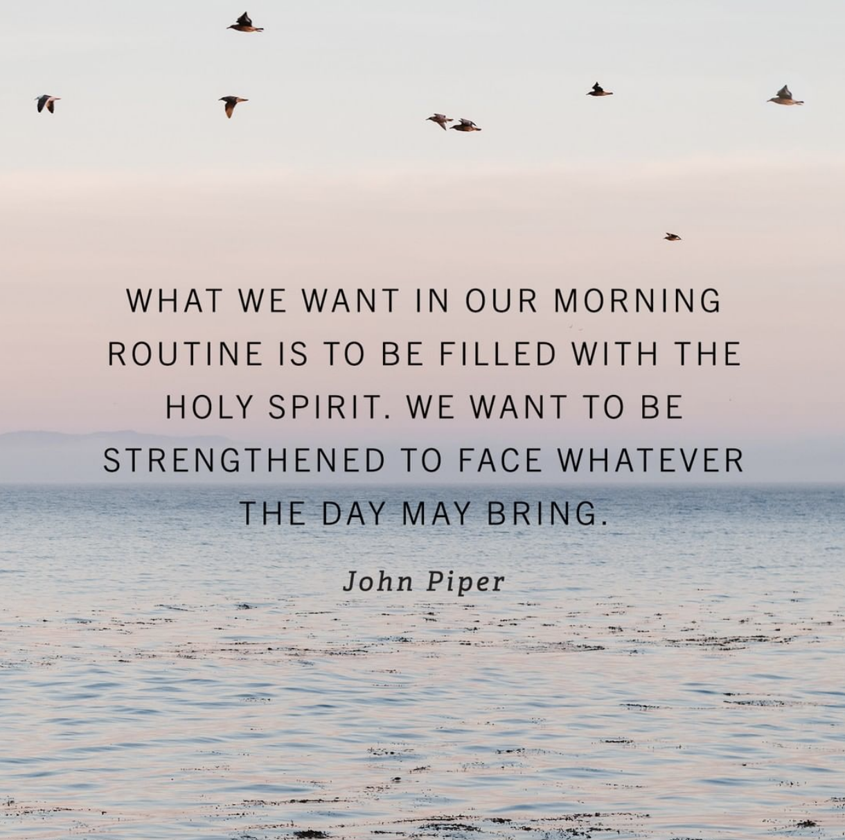 Screen Shot 2019-04-17 at 9.03.18 AM.png