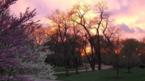 Screen Shot 2019-04-24 at 4.54.18 PM.png