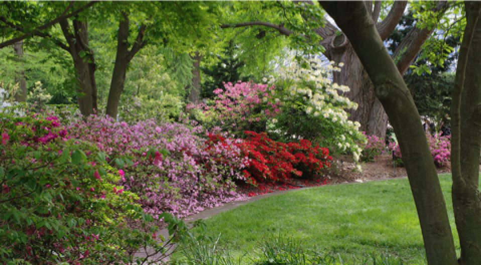 Screen Shot 2019-05-06 at 9.13.59 PM.png