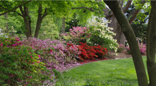 Screen Shot 2019-05-06 at 9.13.59 PM.png