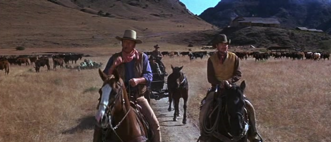 Screen Shot 2019-07-25 at 7.12.59 PM.png