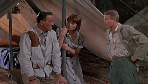 Screen Shot 2019-09-02 at 11.44.51 AM.png