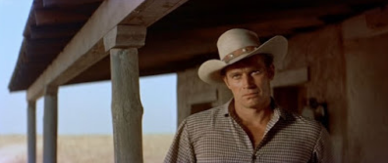 Screen Shot 2019-10-03 at 9.13.37 PM.png