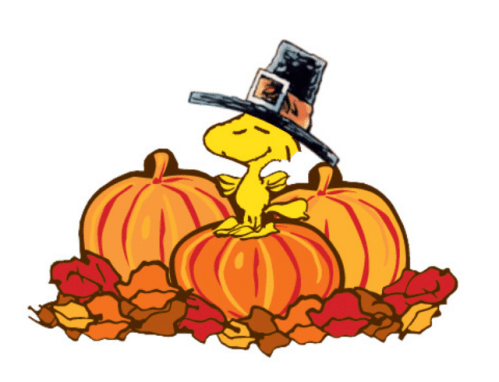 Screen Shot 2019-11-28 at 9.08.20 PM.png