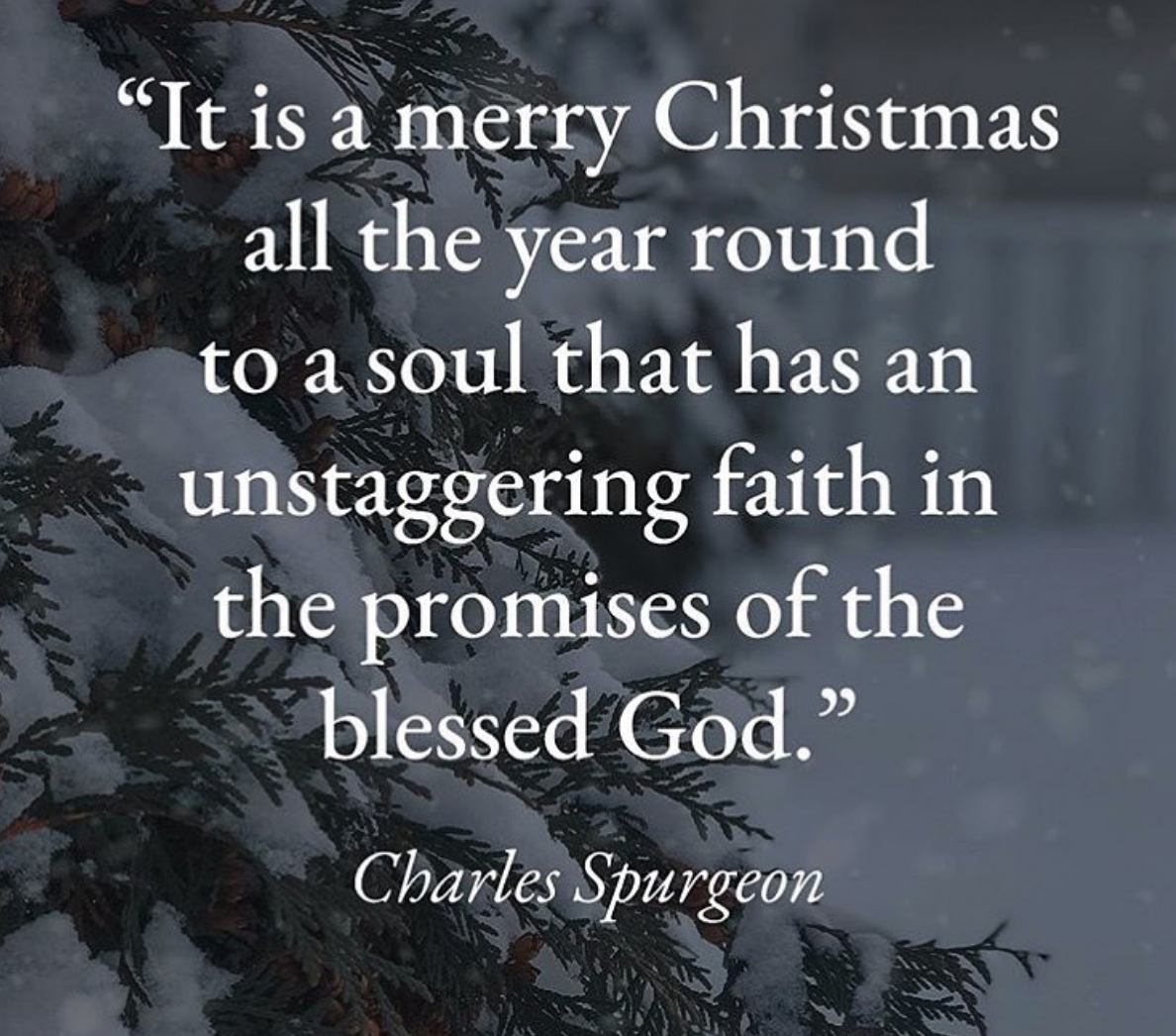 Screen Shot 2019-12-29 at 8.03.20 AM.png