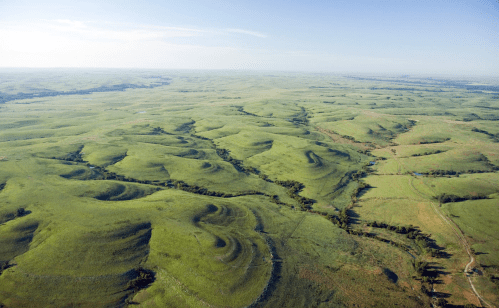 Screen Shot 2019-12-30 at 9.53.57 PM.png