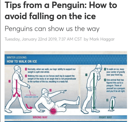 Screen Shot 2020-01-23 at 8.39.26 PM.png