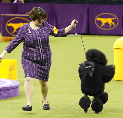 Screen Shot 2020-02-17 at 1.15.24 PM.png