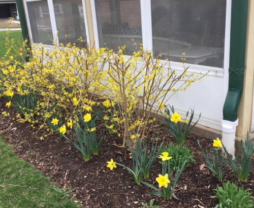 Screen Shot 2020-03-23 at 8.47.38 PM.png