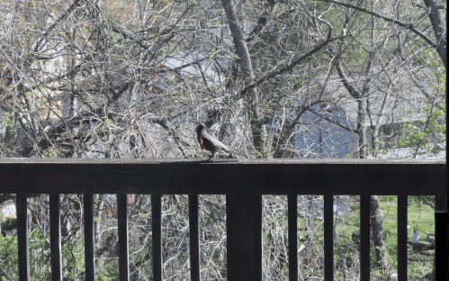 Screen Shot 2020-04-08 at 6.49.48 PM