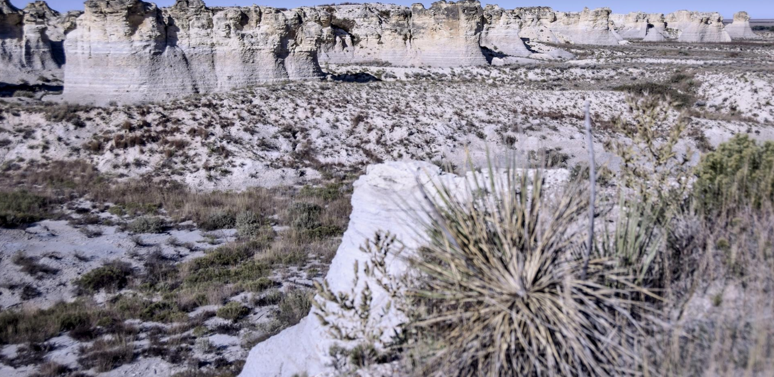 Screen Shot 2020-05-04 at 9.48.06 PM.png