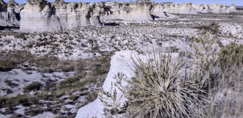 Screen Shot 2020-05-04 at 9.48.06 PM.png